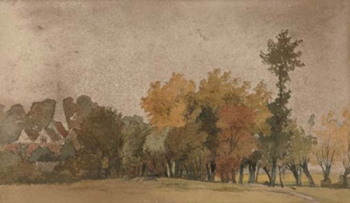 View across the meadow